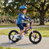 Fenix Bike