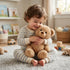 Classic Teddy Bear