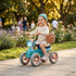 Alto Trike
