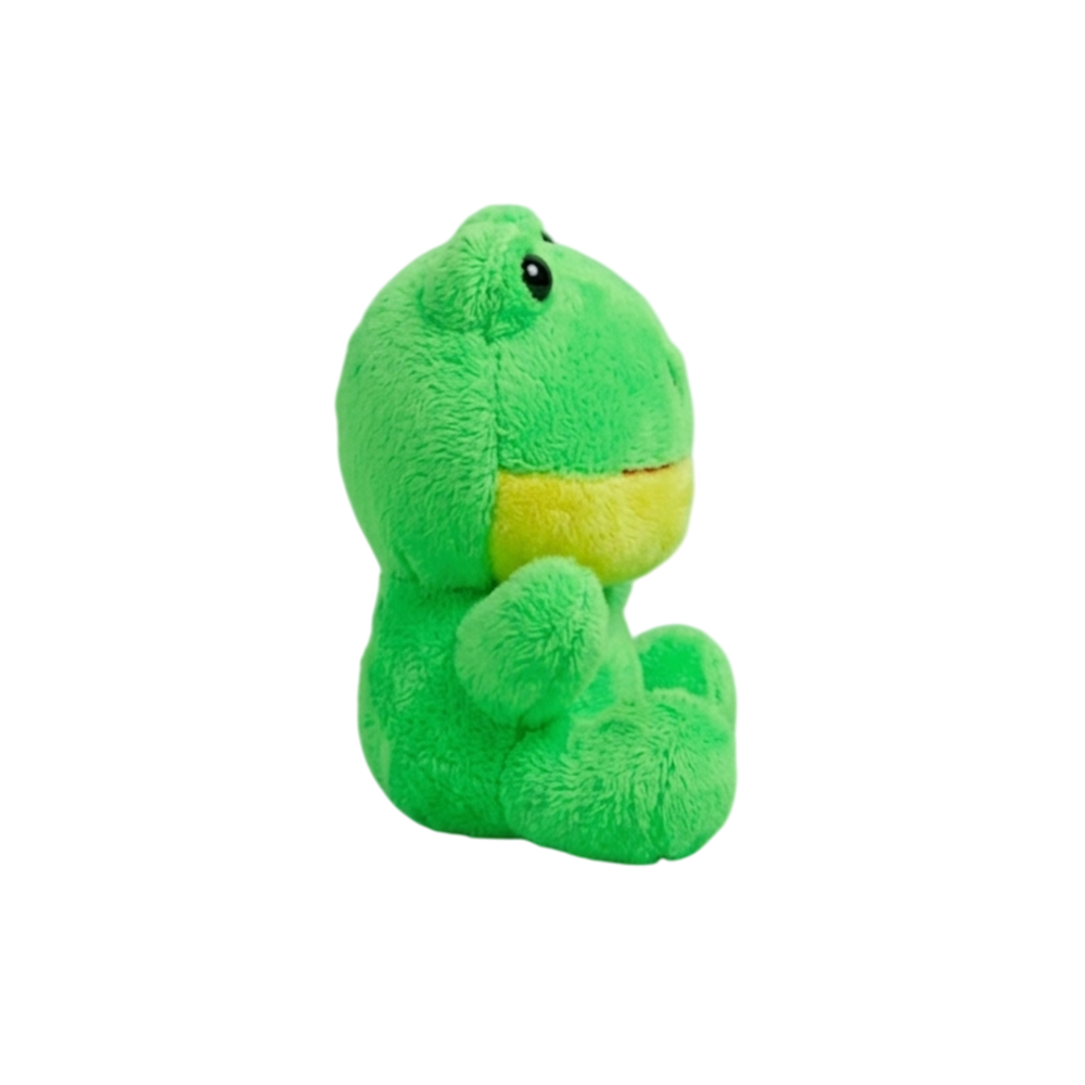 Jumping Frog Toy
