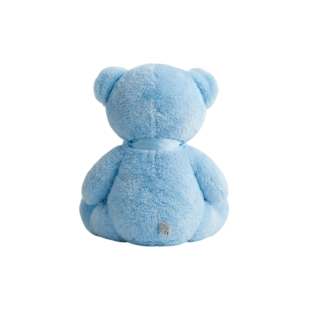 Soft Hug Bear