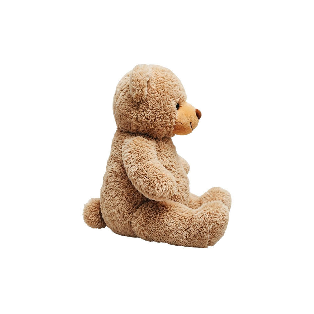 Classic Teddy Bear