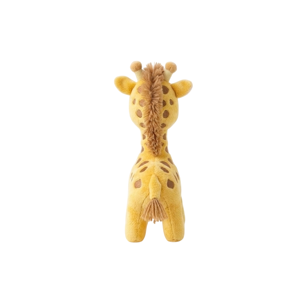 Baby Giraffe