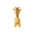 Baby Giraffe