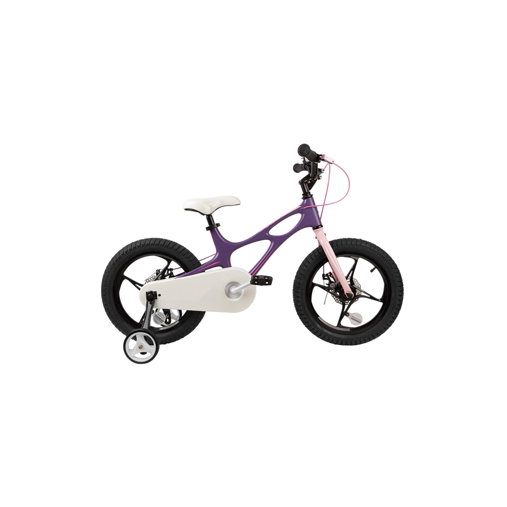 Fenix Bike