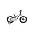 Fenix Bike