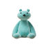 Little Bear Cub