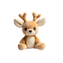 Little Fawn