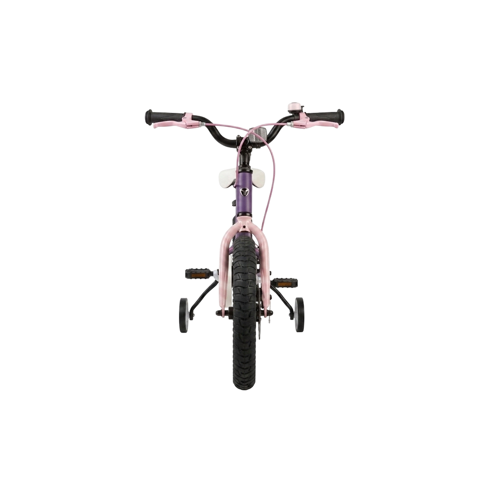 Fenix Bike
