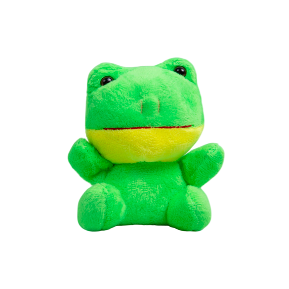 Jumping Frog Toy